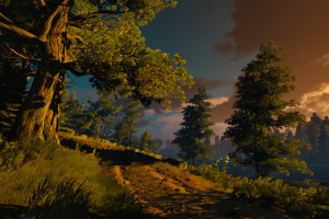 VAR又引争议！热刺进球被吹，球迷怒斥：公平何在